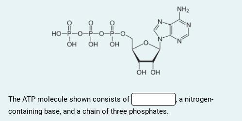 Please help me. Fill in the blank with the answer-example-1