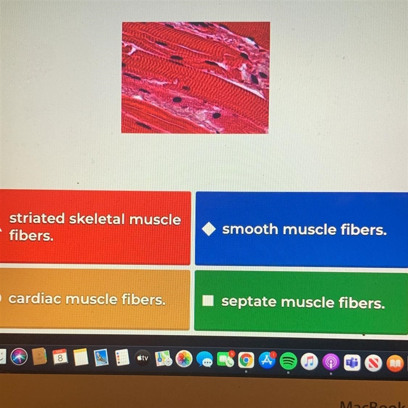 The cells in this diagram are-example-1