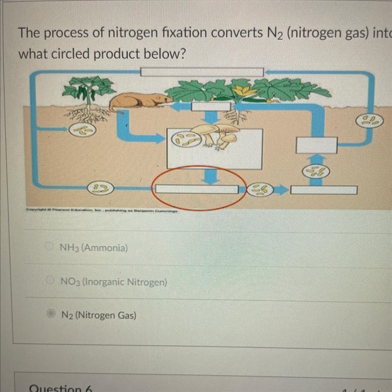 Please help ASAP I answered but i got it wrong If you can’t see the answers A: NH-example-1