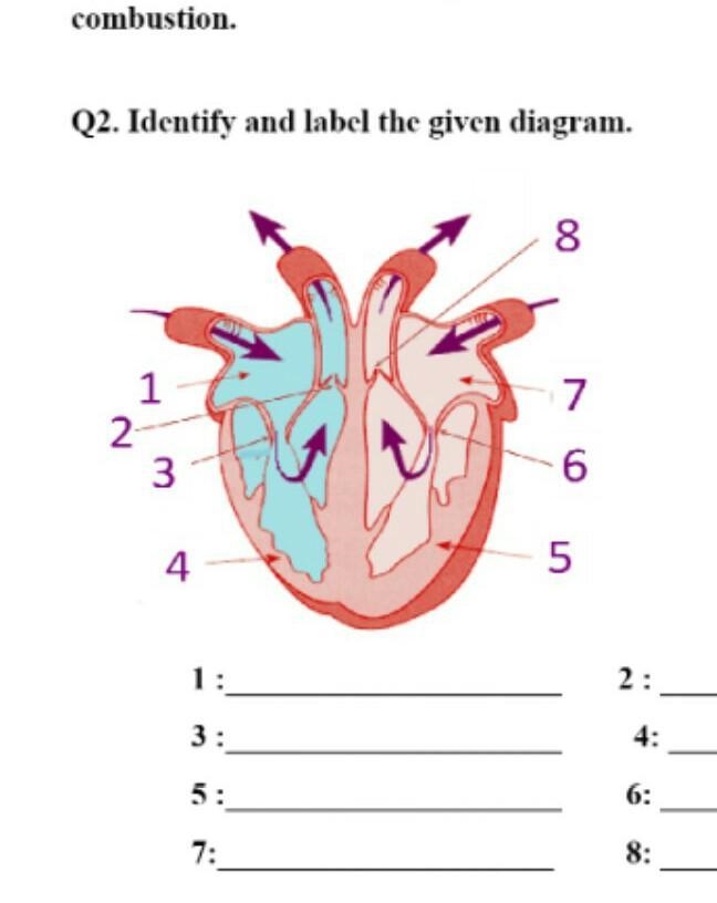 Please tell me true answer plz​-example-1