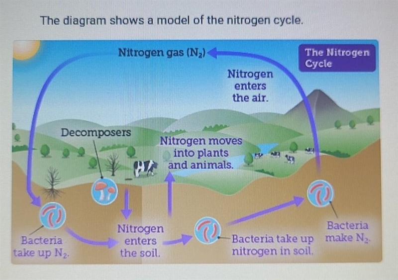 PLEASE ONLY RIGHT ANSWERS SO I PASS THIS GRADE The diagram shows a model of the nitrogen-example-1