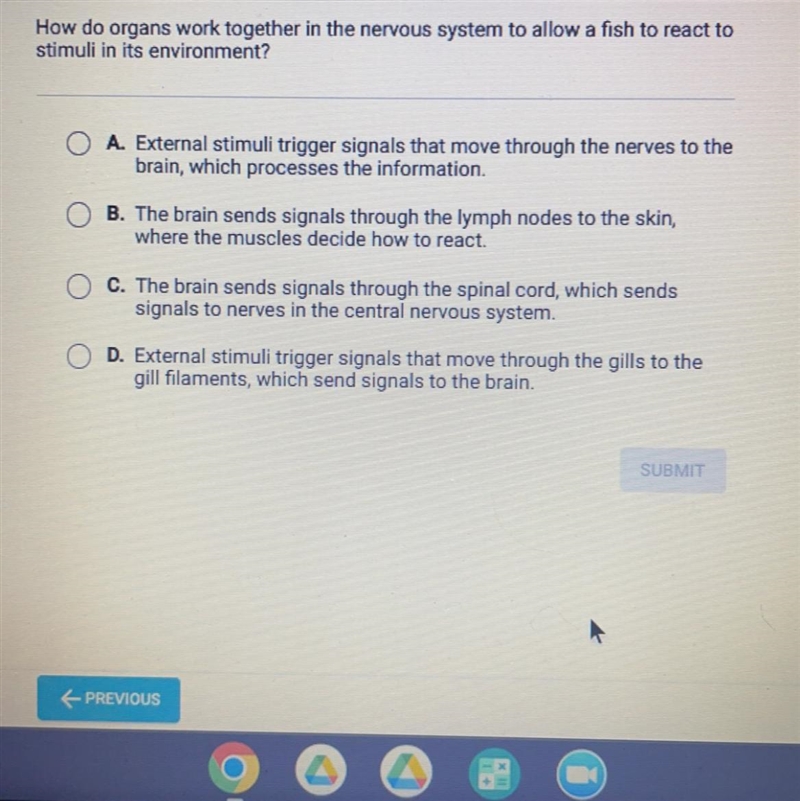 How do organs work together in the nervous system to allow a fish to stimuli in its-example-1