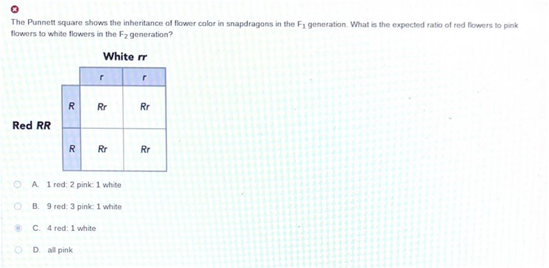 The Punnett square shows the inheritance of flower color in snapdragons in the F, generation-example-1