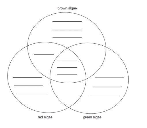 Use the model of the Venn Diagram provided to distinguish between the characteristics-example-1