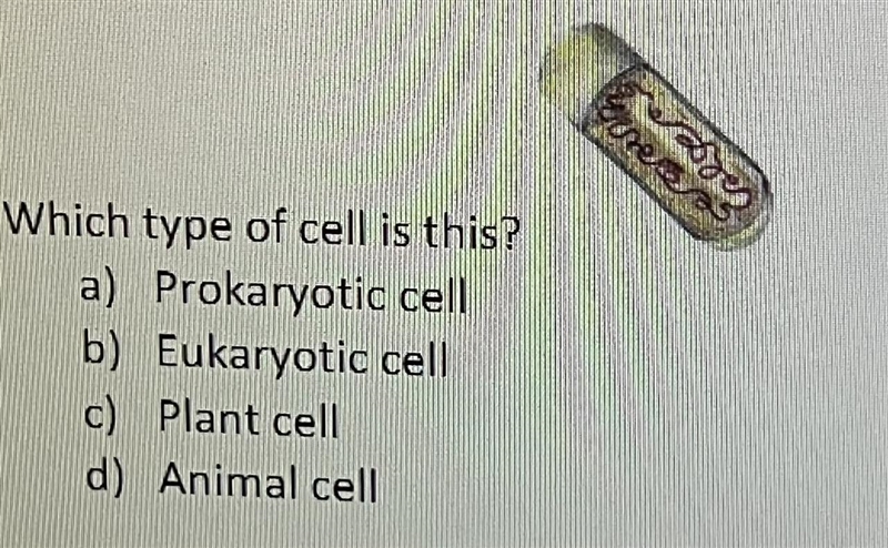 What type of cell is this? a) prokaryotic cell b) eukaryotic cell c) plant cell d-example-1