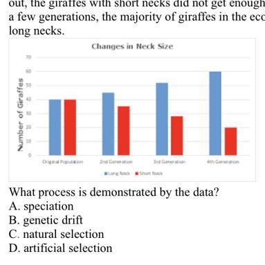 In an ecosystem, some giraffes had long necks and others had short ones. When something-example-1