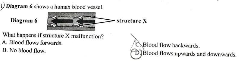 C or d is the correct answer​-example-1