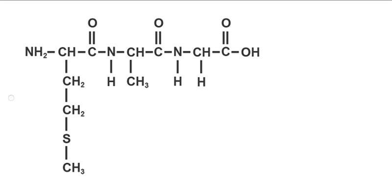 Glycine (C2H5NO2) is added to a growing peptide chain containing methionine (C5H11NO-example-1