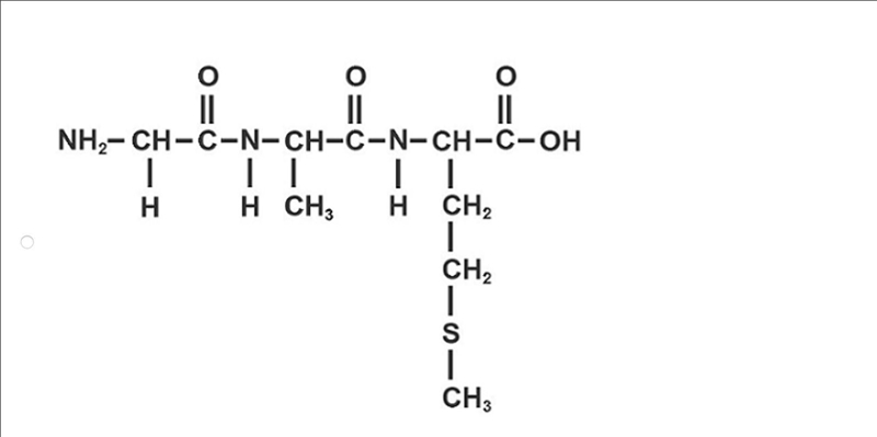 Glycine (C2H5NO2) is added to a growing peptide chain containing methionine (C5H11NO-example-2