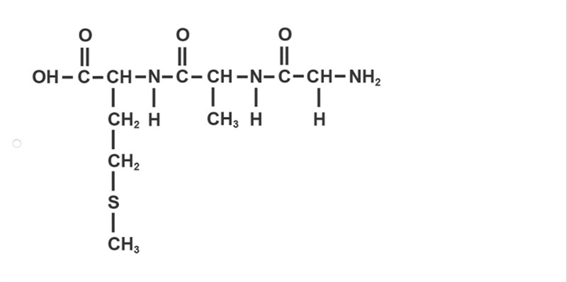 Glycine (C2H5NO2) is added to a growing peptide chain containing methionine (C5H11NO-example-3