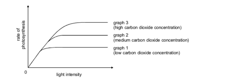 ASAP please please Help The graphs below show the effect of light intensity on the-example-1