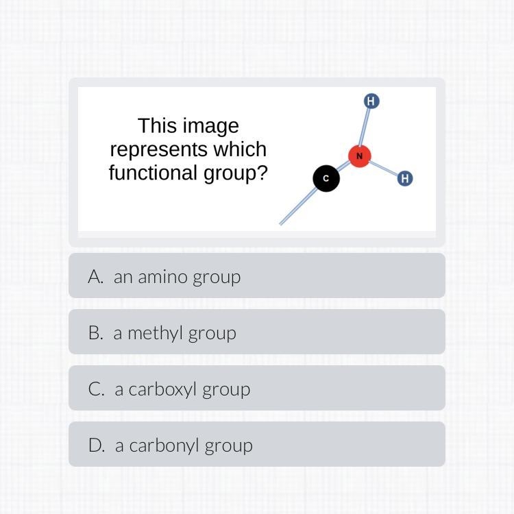 This image represents which functional group-example-1