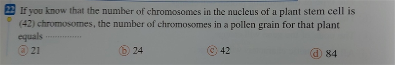 Can someone explain the answer plz​-example-1