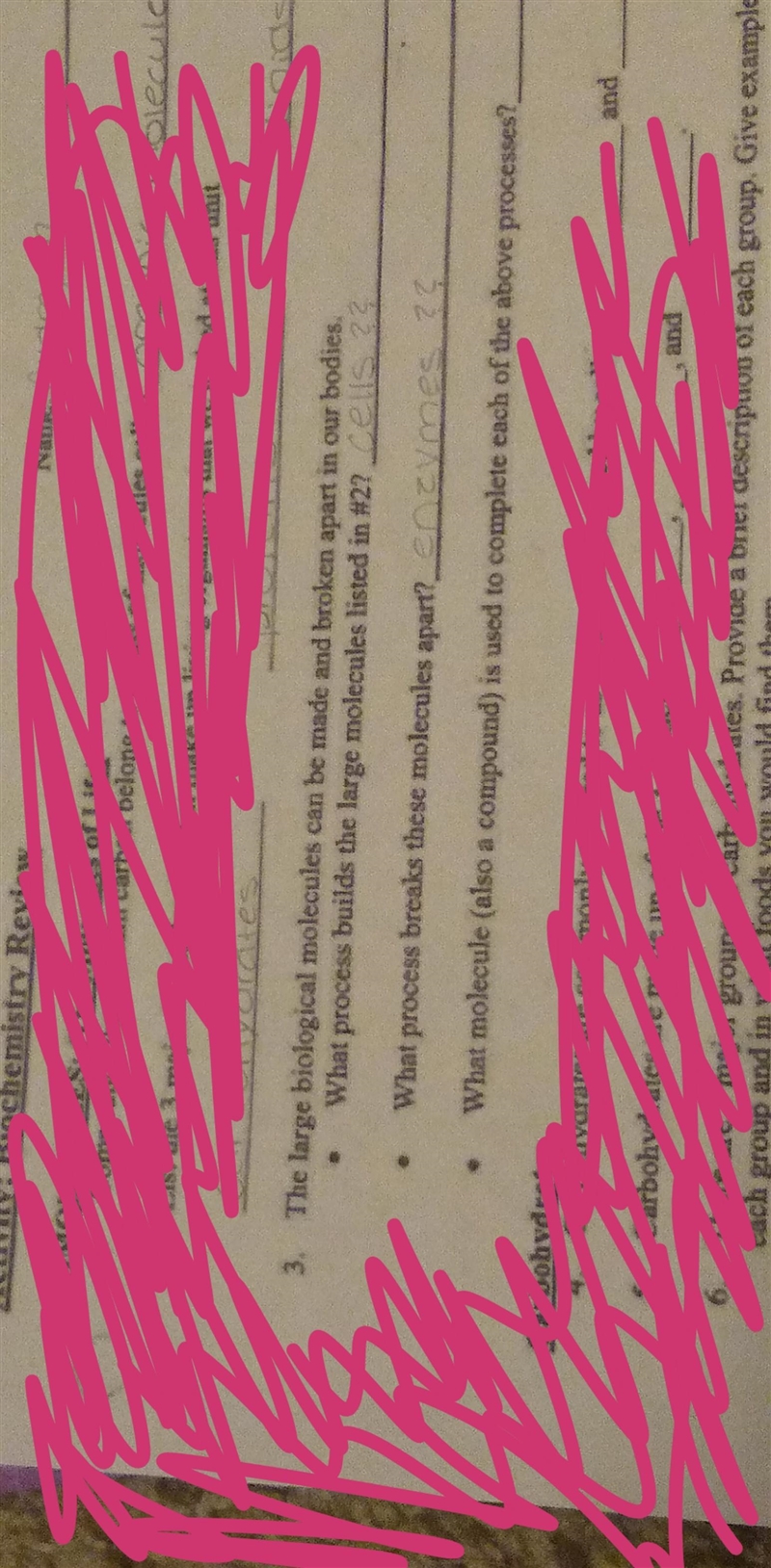 Please help me. i have my biology test tomorrow and im faIIing really behind. i want-example-1