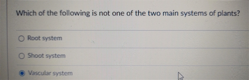 Which of the following is not one of the two main systems of plants?-example-1