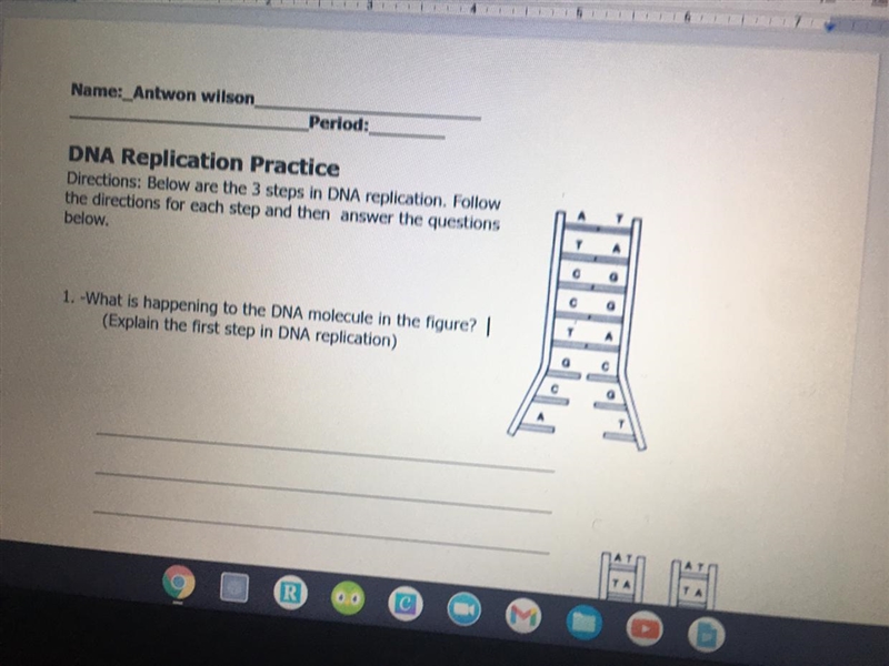 What is happening to the DNA molecule in the figure?(Explain the first step in DNA-example-1