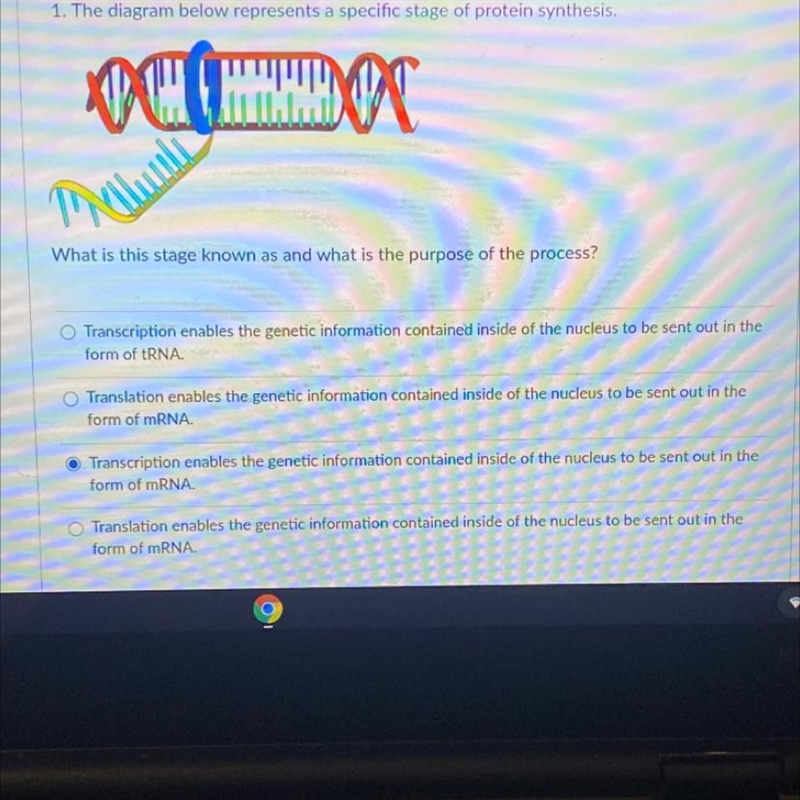 The diagram below represents a specific stage of protein synthesis. What is this stage-example-1