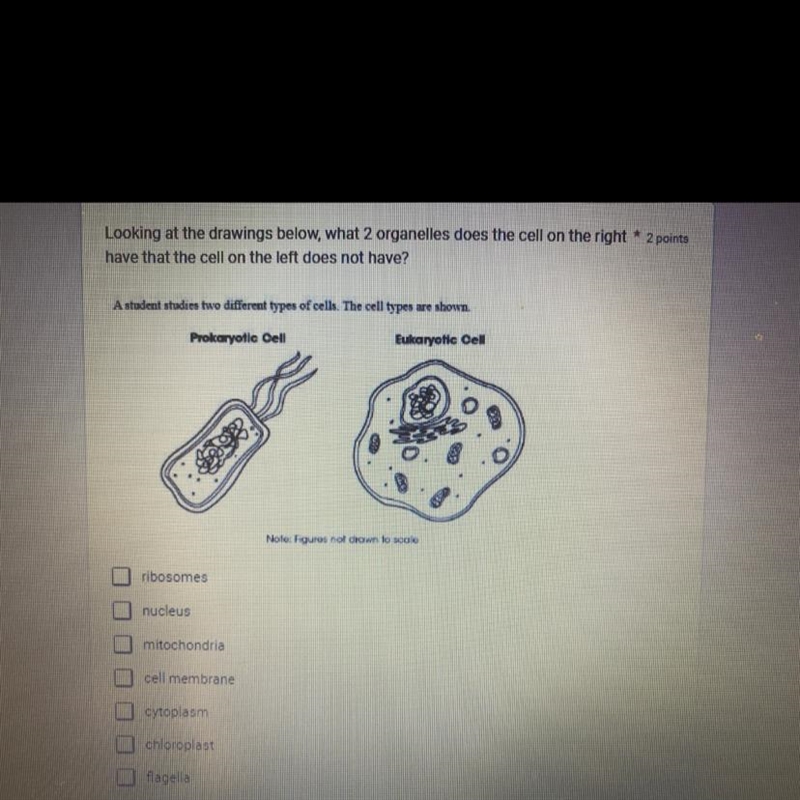 Looking at the drawings below, what 2 organelles does the cell on the right have that-example-1