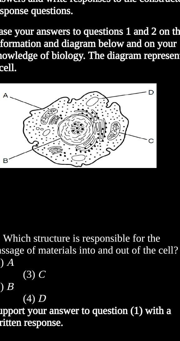 Instructions: (H.W. # 4) Bubble in correct answers and write responses to the constructed-example-1