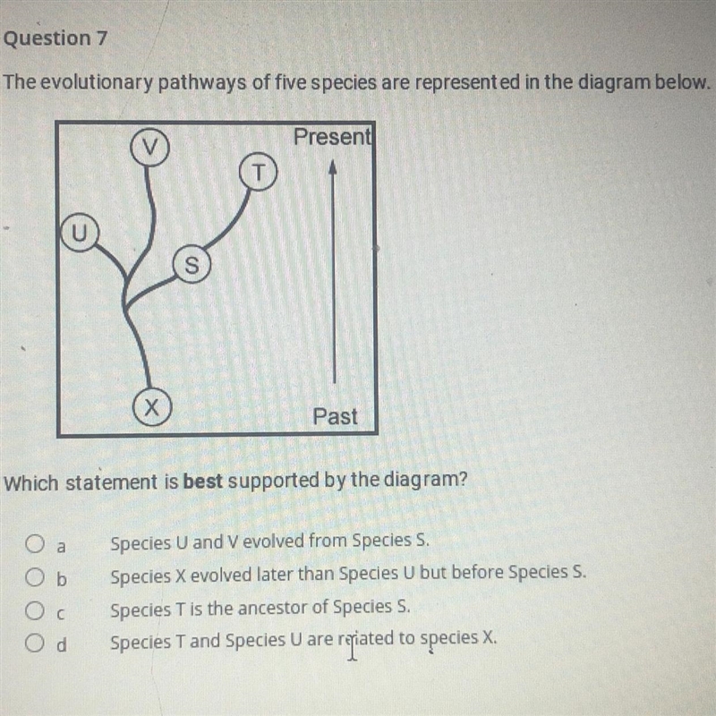 Does anyone know what this is?:)-example-1