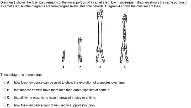 Help pls, it's due on Friday!! you'll get 13 points.-example-1