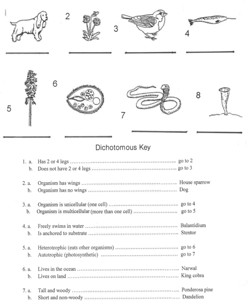 WORKSHEET (need help urgent).-example-1