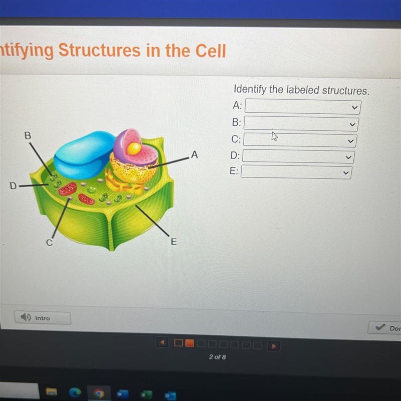 Identify the labeled structures. Please help ✋-example-1