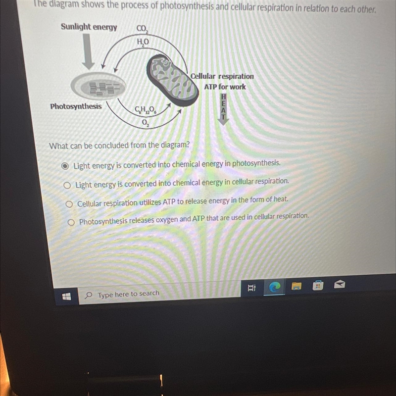 The diagram shows the process of photosynthesis and cellular respiration in relation-example-1