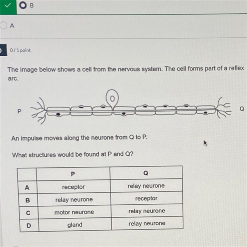 Please help i don’t understand this question for my biology class-example-1