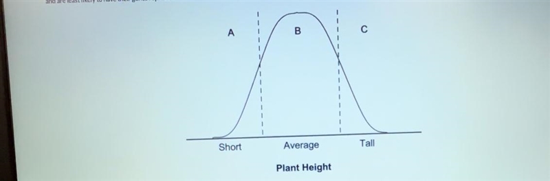 A new species of plants, ranging in various heights, is planted on Mount Washington-example-1