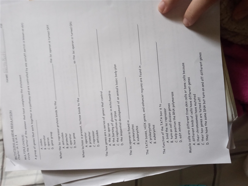 Mutations and genes regulations-example-1