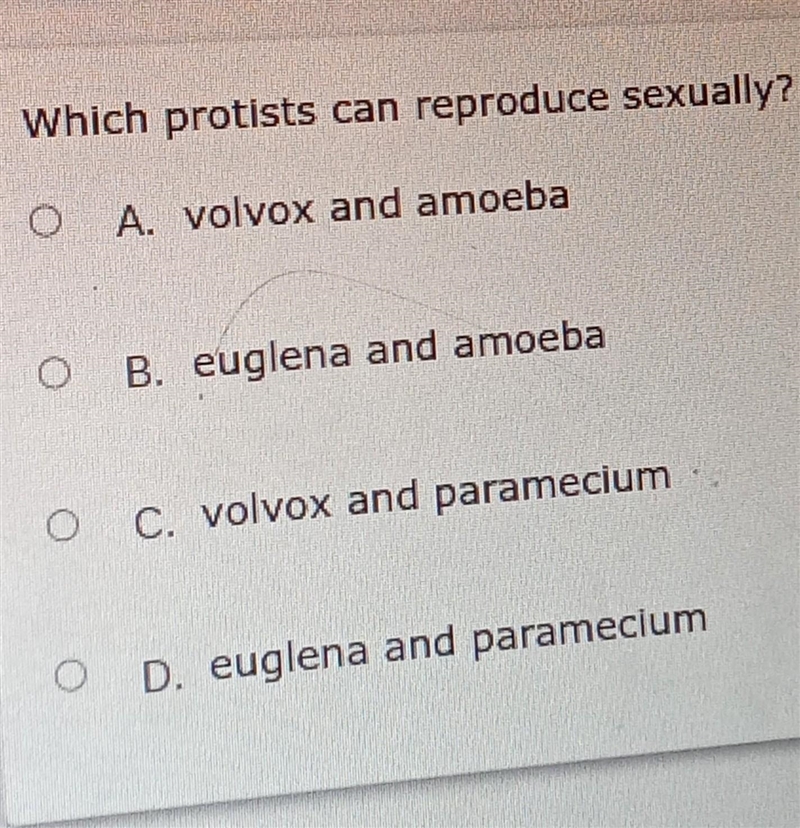 Which protists can reproduce s3xually? A. volvox and amoeba B. euglena and amoeba-example-1