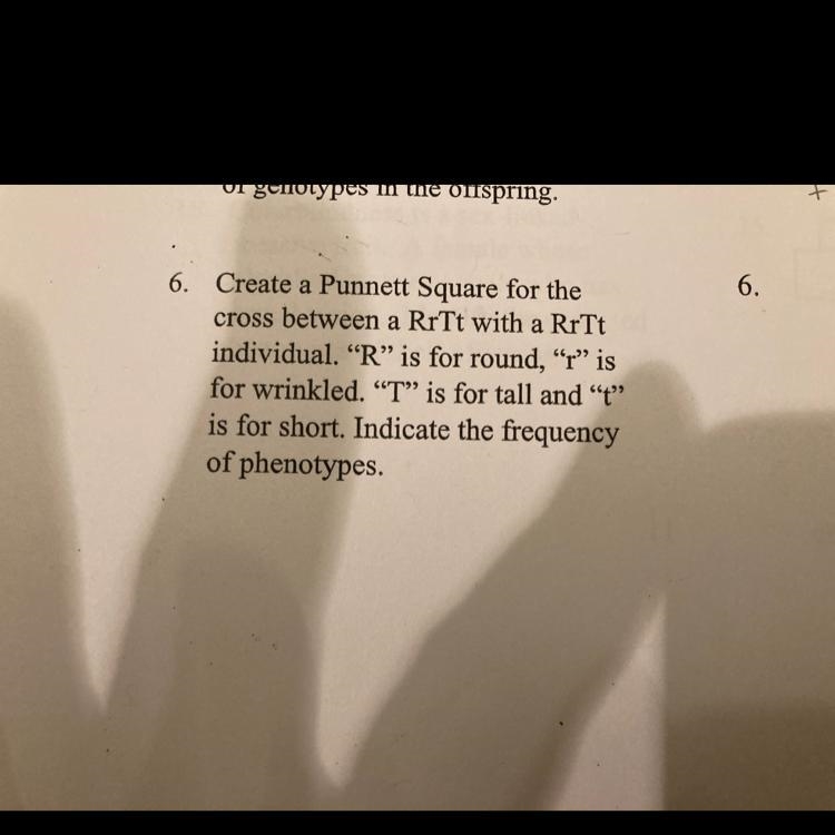 Can someone help like draw it on a piece of paper please i need helppp-example-1