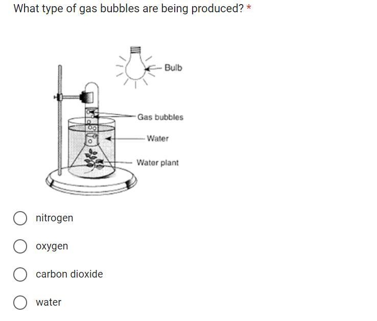 What type of gas bubbles are being produced? A. nitrogen B. oxygen C. Carbon dioxide-example-1