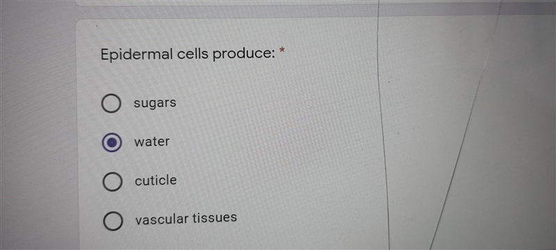 Epidermal cells produce: * 1 sugars 2 water 3 cuticle 4 vascular tissues​-example-1