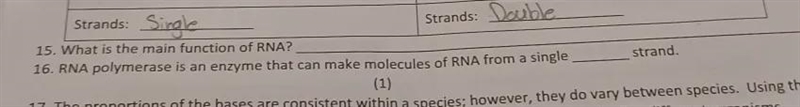 RNA polymerase is an enzyme that can make molecules of RNA from a single _______ strand-example-1