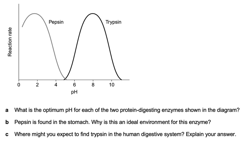 PLEASE HELP, I NEED TO SUBMIT MY WORK NOW-example-1