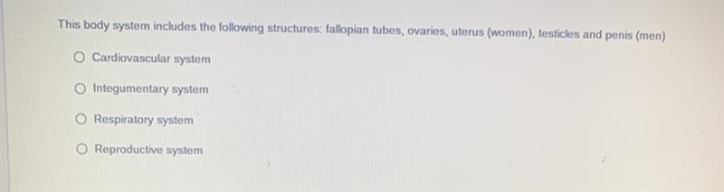 O Cardiovascular system O Integumentary system O Respiratory system O Reproductive-example-1