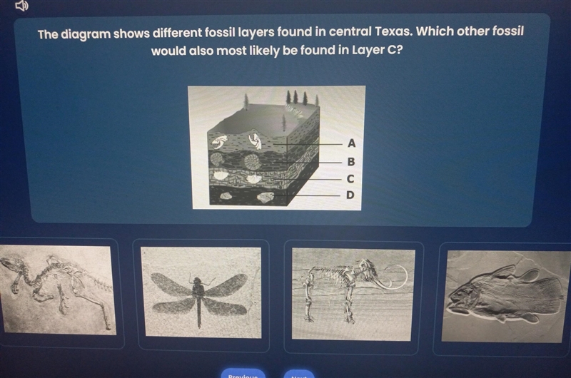 The diagram shows different fossil layers found in central Texas. Which other fossil-example-1