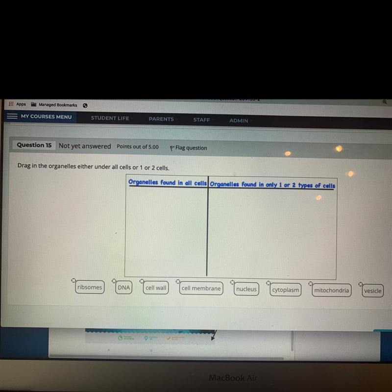 Drag in the organelles either under all cells or 1 or 2 cells list of organelles: Ribosome-example-1