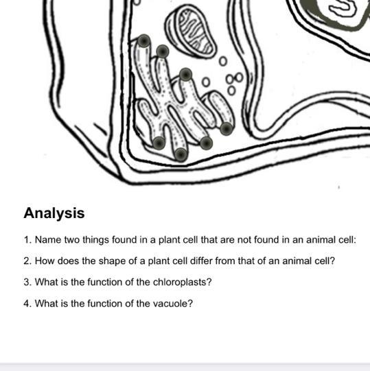 GIVING POINTS PLEASE HELP DUE IN 20 MINUTES-example-1