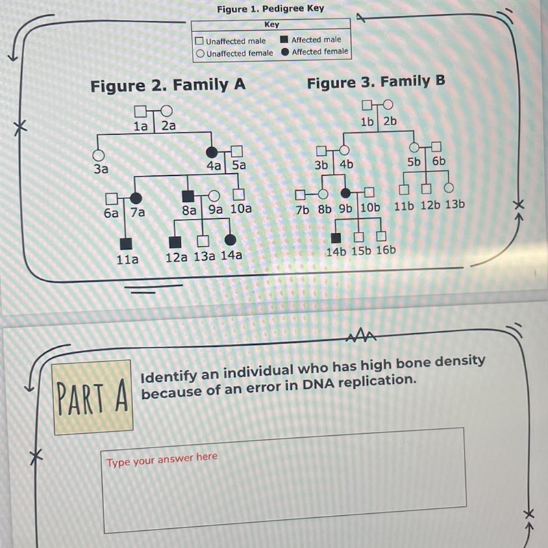 * Figure 1. Pedigree Key Key Unaffected male OUnaffected female Figure 2. Family A-example-1