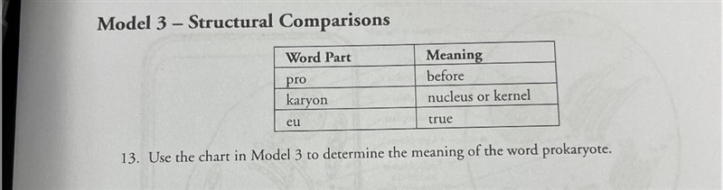 Determine the meaning off the word prokaryote using the modle 3 chart-example-1