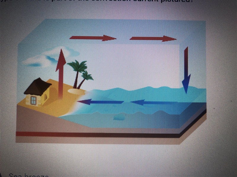 Which type of wind is part of the convention current pictured? A. Sea breeze B. Prevailing-example-1