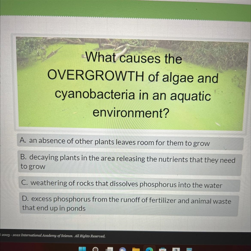 What causes the overgrowth of algae and Cyanobacteria in an aquatic environment?-example-1