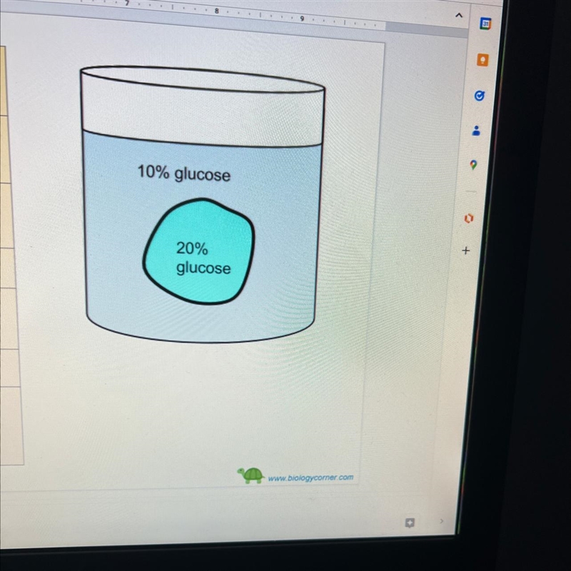 What is the % of water inside the cell?-example-1