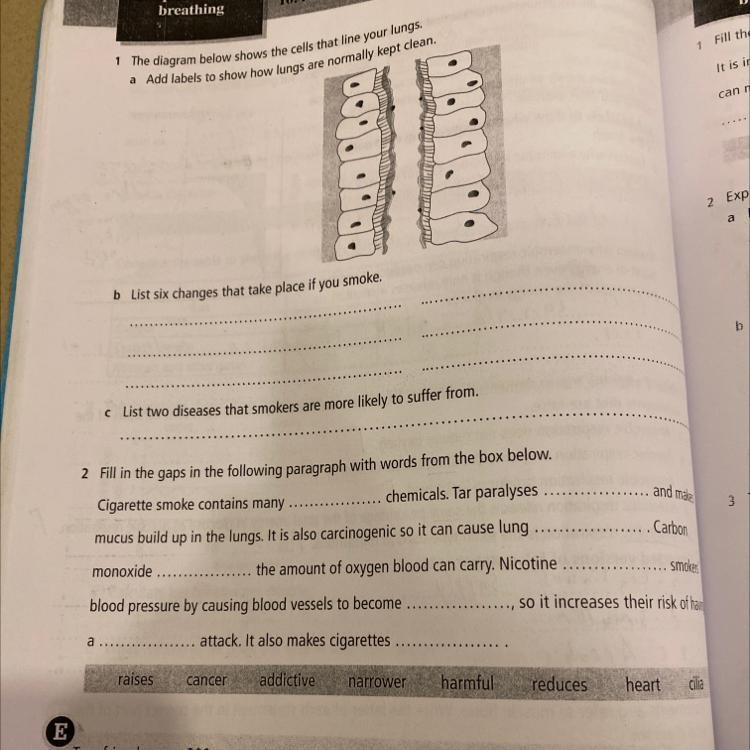 Hi,please solve the page or at least one question if you don’t want to solve all of-example-1