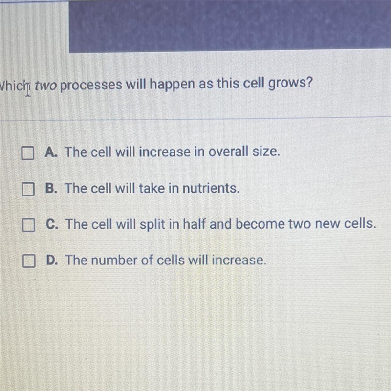 Which two processes will happen as this cell grows?-example-1