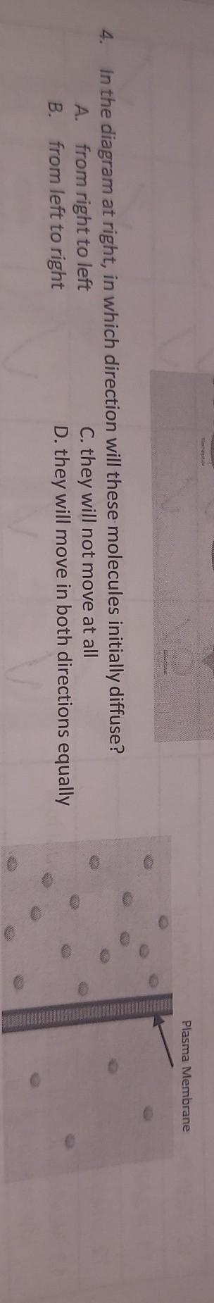 In the diagram at the right, in which dirextion will these molecules initially diffuse-example-1