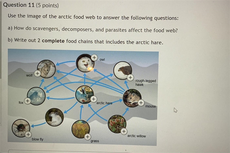 Hi I need help with this homework question, I’m not very good at reading diagram and-example-1